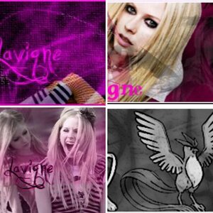 My Gallery