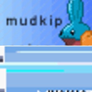 MUDKIPZ?