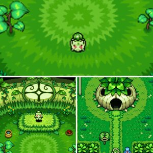 My Grass House