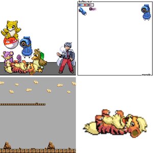 Pokemon Projects