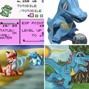 Totodile Pics