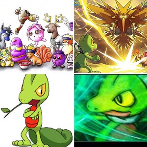 Pokemon!!!