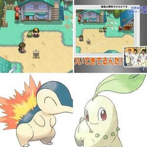 Heartgold and Soulsilver Version's