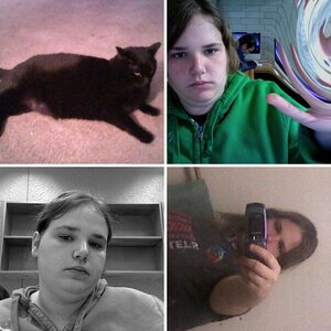 pictures of meh