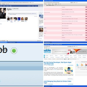 The Screenshot Fairy~