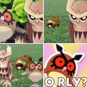HootHoot and Noctowls
