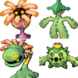 grass types