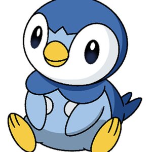 Piplup is Awesome