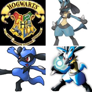 Lucario