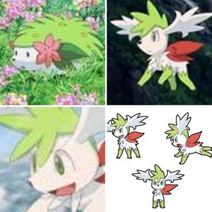 Shaymin