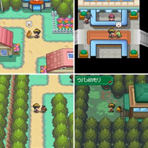 HeartGold-SoulSilver images