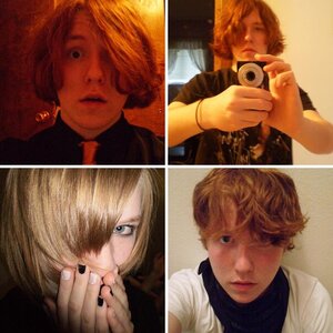 various pictures