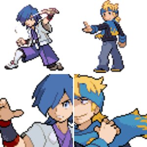 Trainers