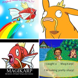 Magikarp!