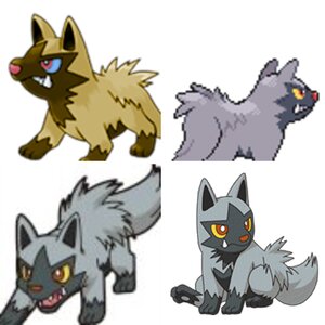 Poochyena