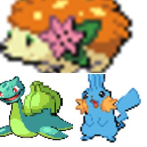 Random Pokemon Stuff