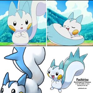 Pachirisu