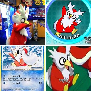 Delibird Album