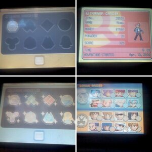 Trainer Cards