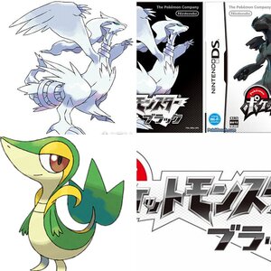 Pokemon Black is MINE.