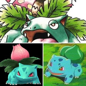 all493 pokemon album