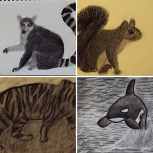 Lickitricky's Art of Nature