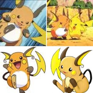 Raichus