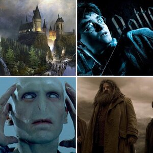 harry potter
