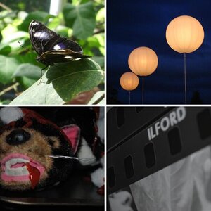 .pHotography