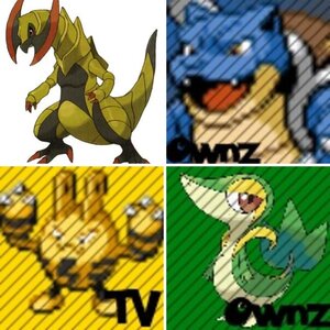 Pokemon (: