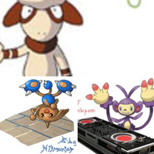 The Crew
