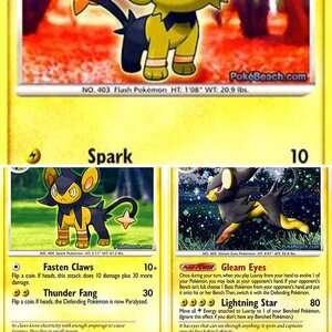 Custom Pokemon Cards