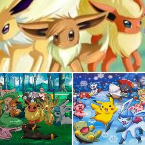 Eevee & Eevee Evolutions