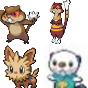 B&W Pokemon Pt. 1