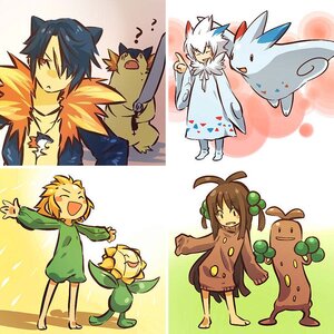 poke teams