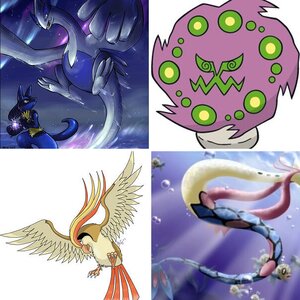 __>>*my favorite pokemons*.__