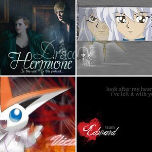 See This Wicked Album