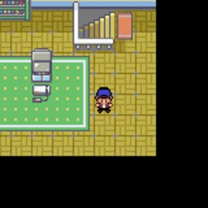 Pokémon White Void