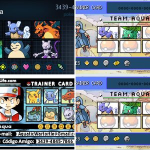 Trainer Cards