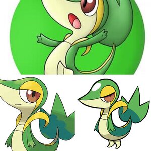 Snivy Pictures