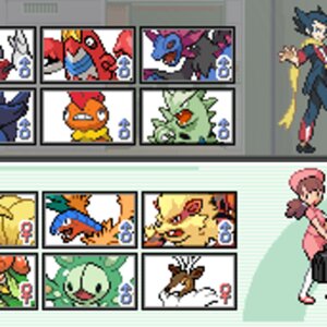 Pokemon Trainer Cards