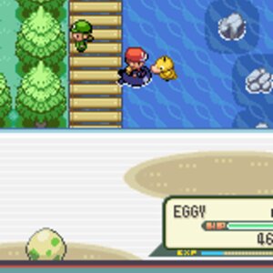 Pokemon Walkthrough Screenshots