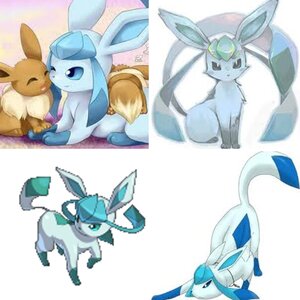 Lots n lots of Glaceon