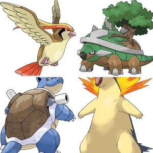 Pokemon Trainen Slashex's Best Team