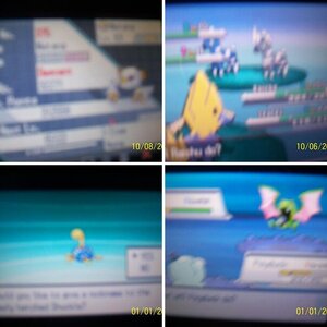 Drew's Shinies