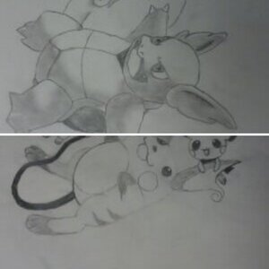 Zion's Pokemon Drawing Central Completed Works