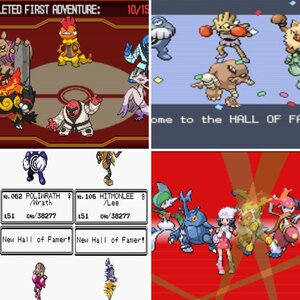 Fighting Type Hall Of Fame