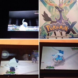 X and Y