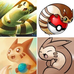 Pictures of FluffyMuffin (Furret)
