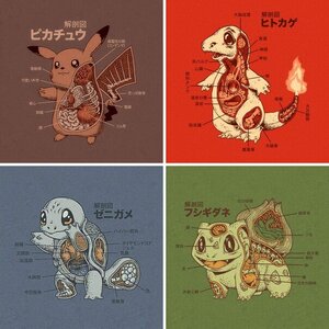 Poke Anatomy